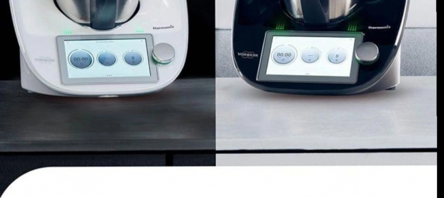 THERMOMIX TM6 ÚLTIMOS DÁAS DE LA PROMOCIÓN PANDA!!